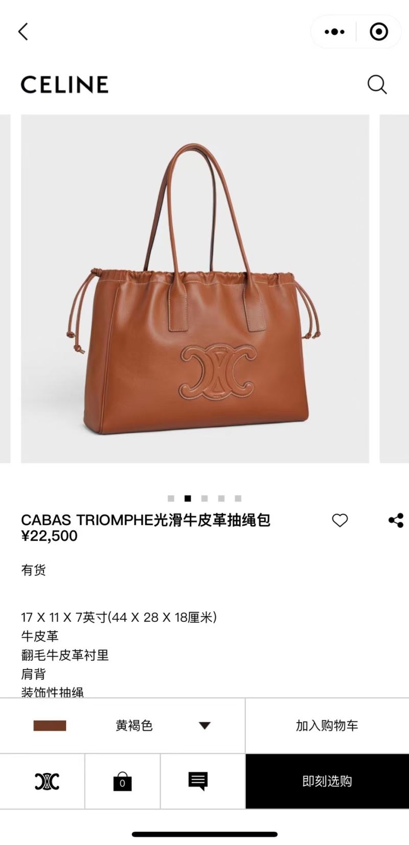 Celine Shopping Bags